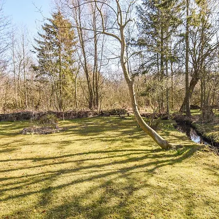 Feriehus Stunning In With Wifi Frorup